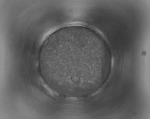 X0000111871405200909031804