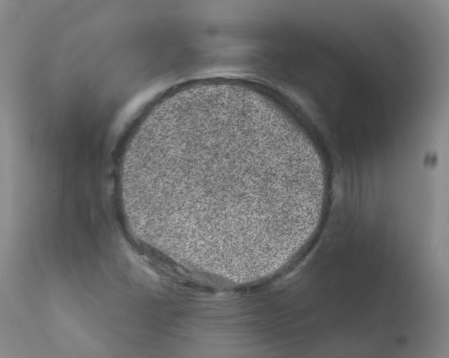 X0000111871406200909031804