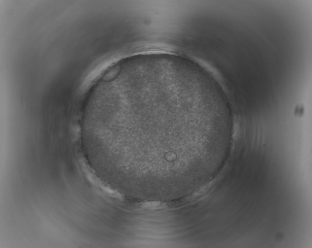 X0000111871407200909031804