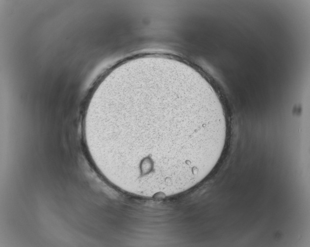 X0000111871408200909031804