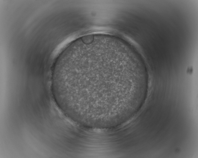 X0000111871411200909031804