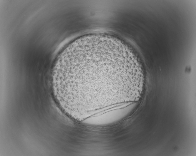 X0000111871412200909031804