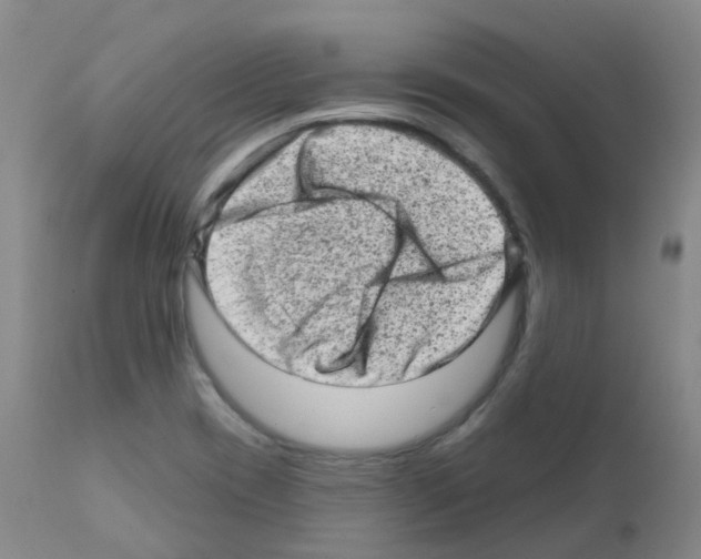 X0000111871417200909031804