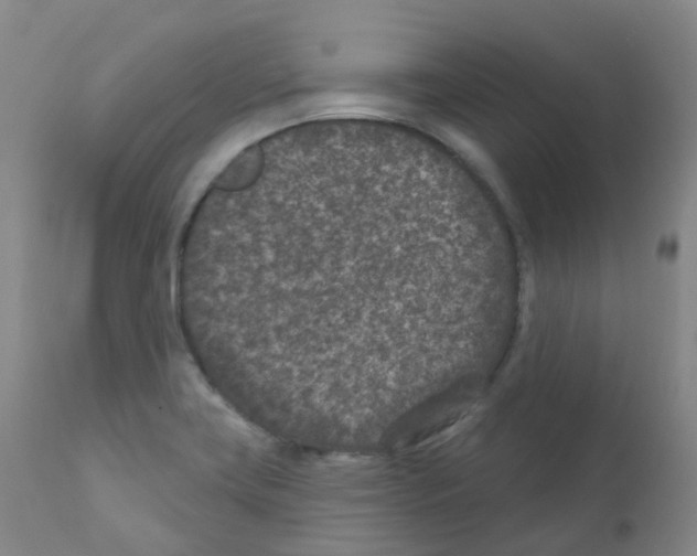 X0000111871419200909031804