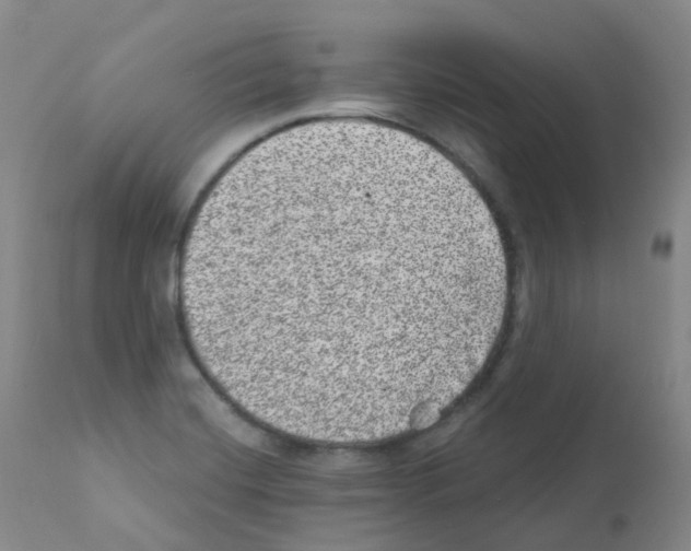 X0000111871420200909031804