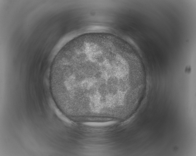 X0000111871421200909031804