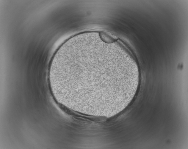 X0000111871424200909031805