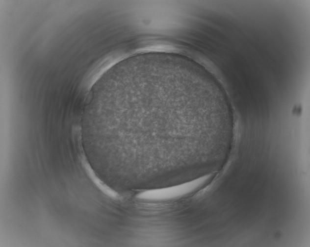 X0000111871425200909031805