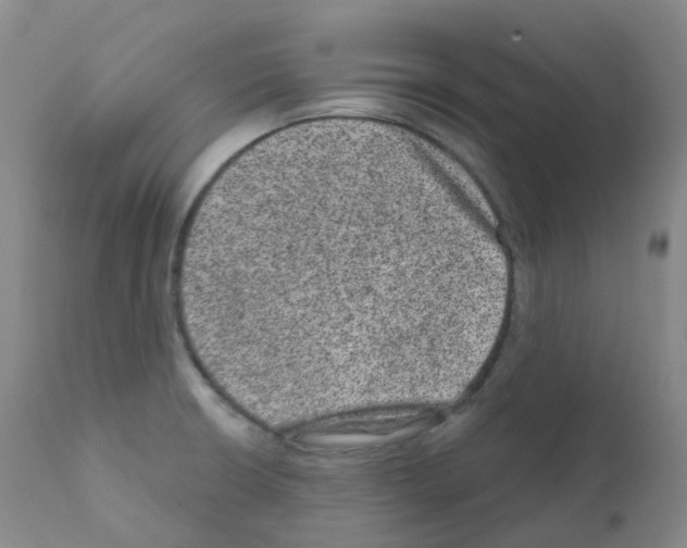 X0000111871426200909031805