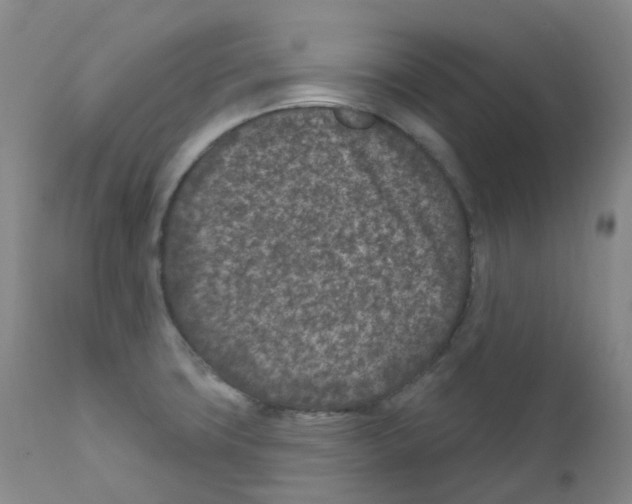 X0000111871427200909031805