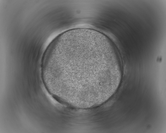 X0000111871430200909031805