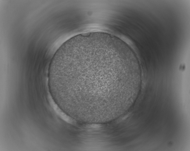 X0000111871431200909031805