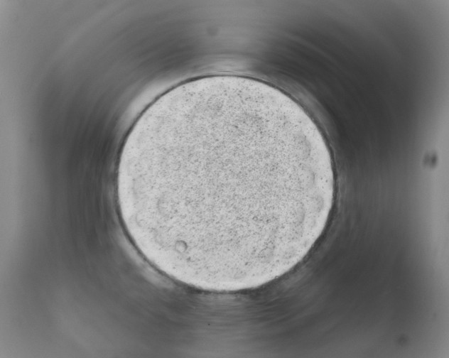 X0000111871432200909031805