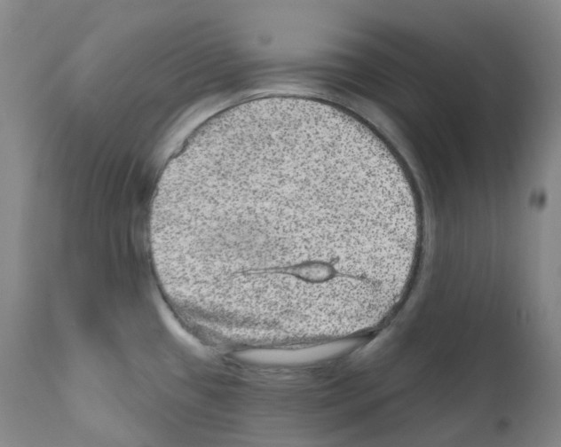 X0000111871433200909031805