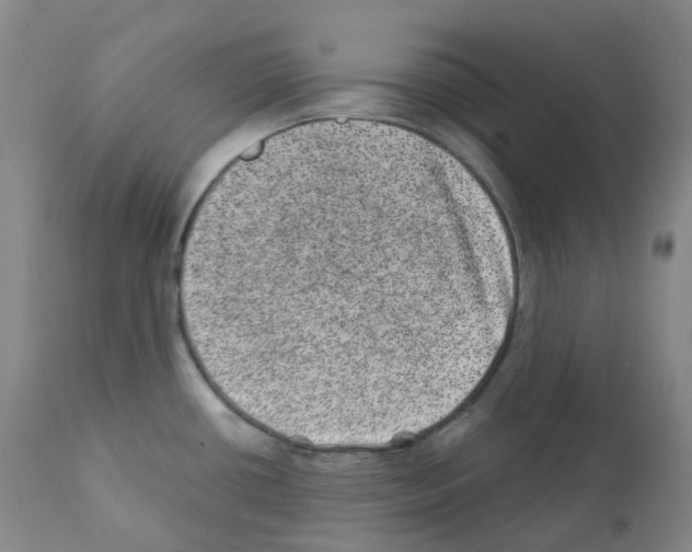 X0000111871434200909031805