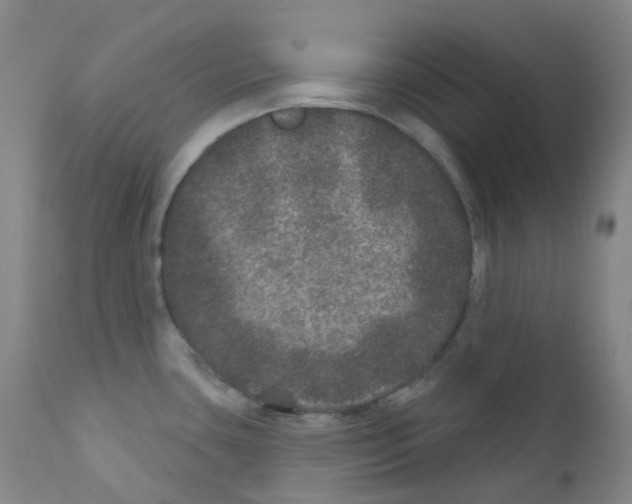 X0000111871435200909031805