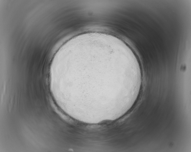 X0000111871437200909031805