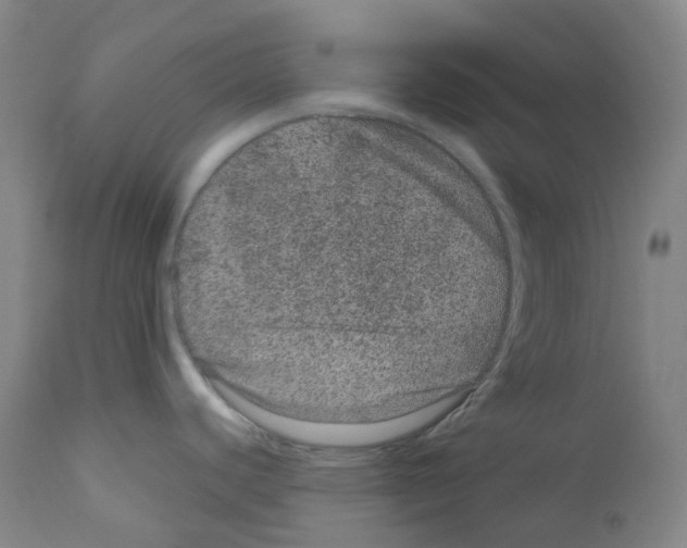 X0000111871440200909031805