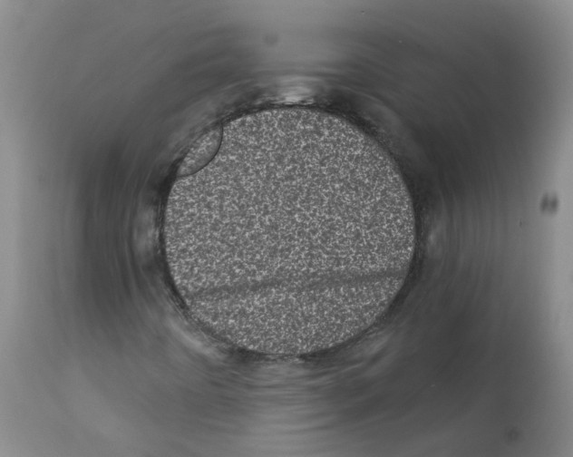 X0000111871442200909031804