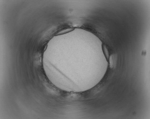 X0000111871443200909031804