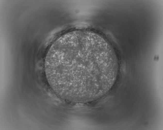 X0000111871445200909031804