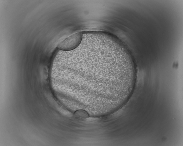 X0000111871449200909031804