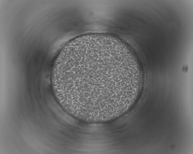 X0000111871451200909031804