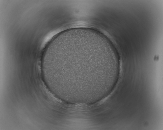 X0000111871453200909031804