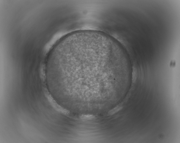 X0000111871454200909031804