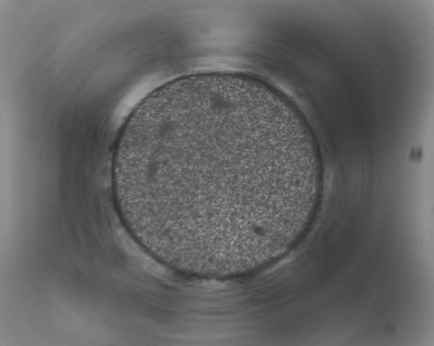 X0000111871459200909031804