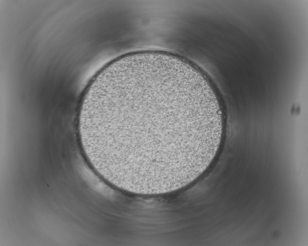 X0000111871460200909031804