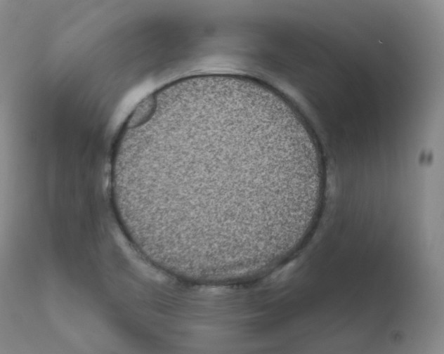 X0000111871461200909031804