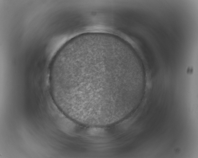 X0000111871462200909031804