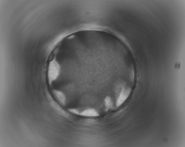 X0000111871463200909031804