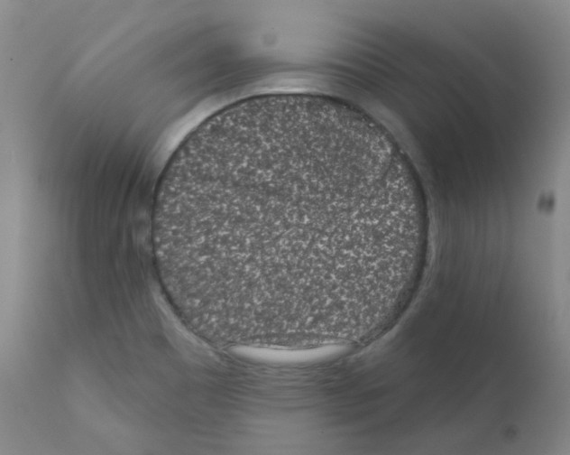 X0000111871465200909031804