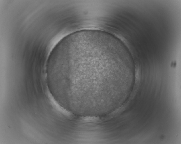 X0000111871466200909031804