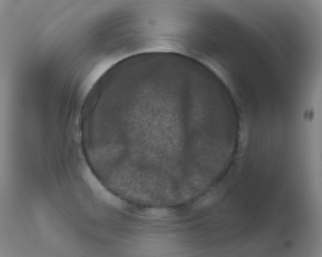 X0000111871468200909031804