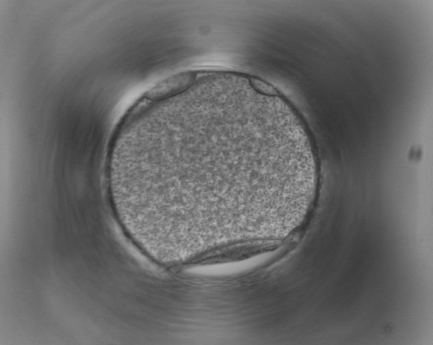 X0000111871469200909031804