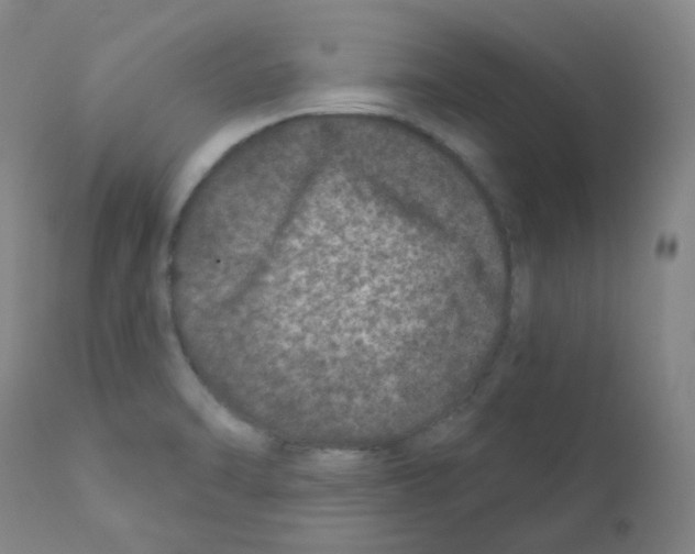 X0000111871470200909031804