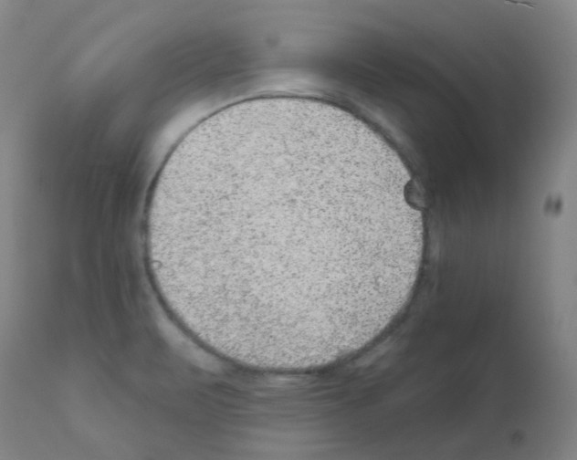 X0000111871471200909031804