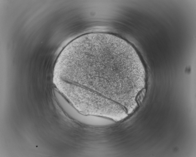 X0000111871473200909031803