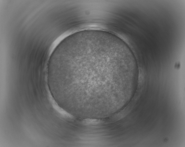 X0000111871474200909031803