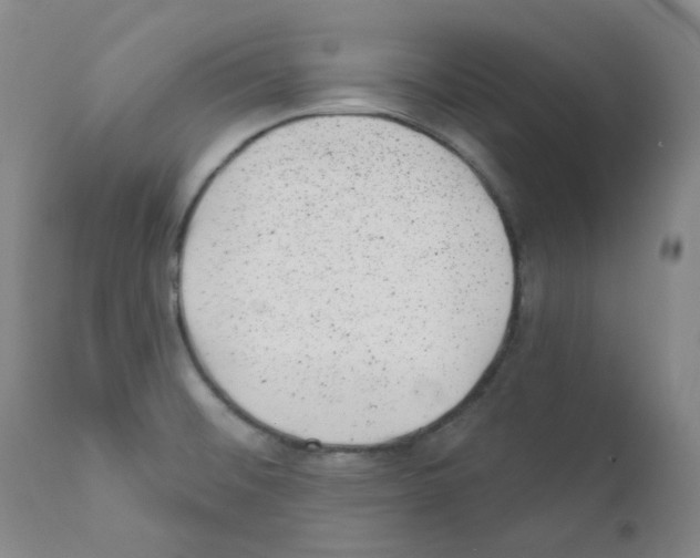 X0000111871476200909031803