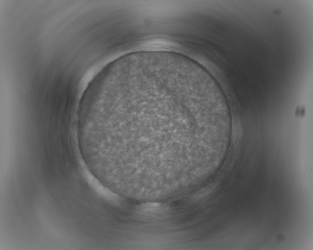 X0000111871478200909031803