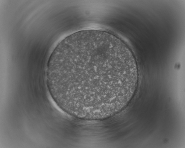 X0000111871479200909031803