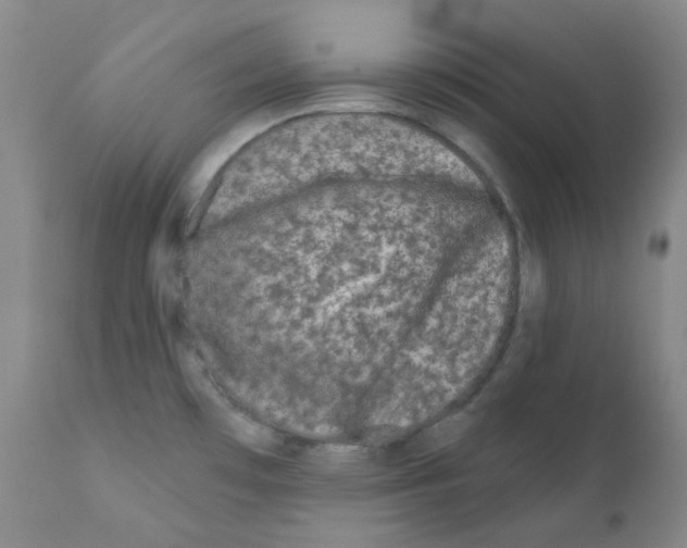 X0000111871481200909031803