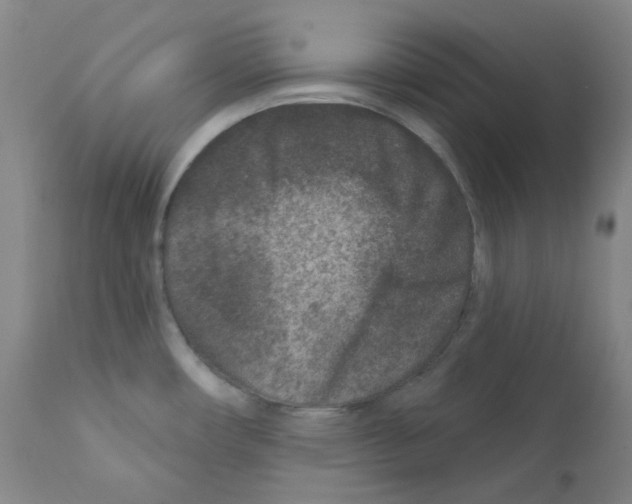 X0000111871482200909031803