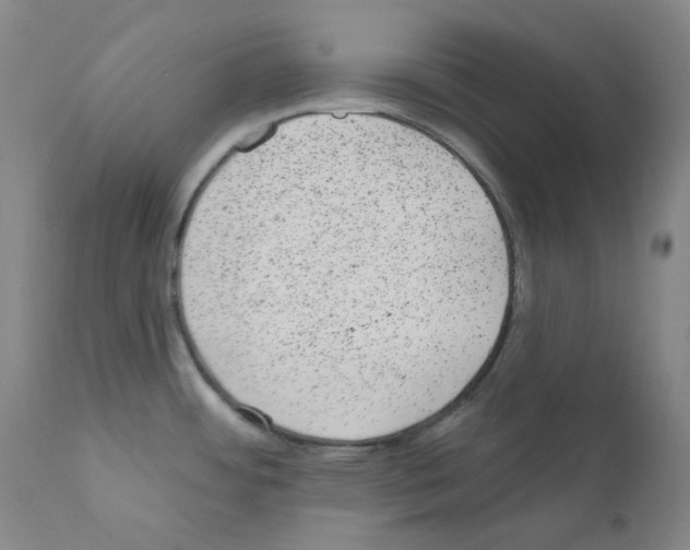 X0000111871484200909031803