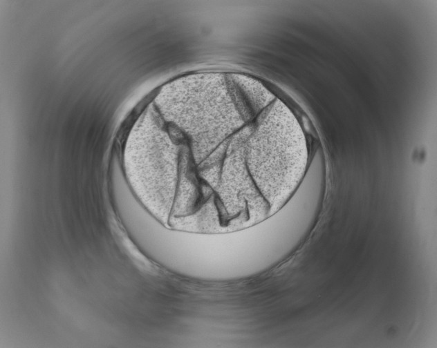 X0000111871485200909031803