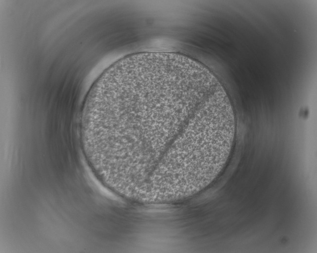 X0000111871486200909031803